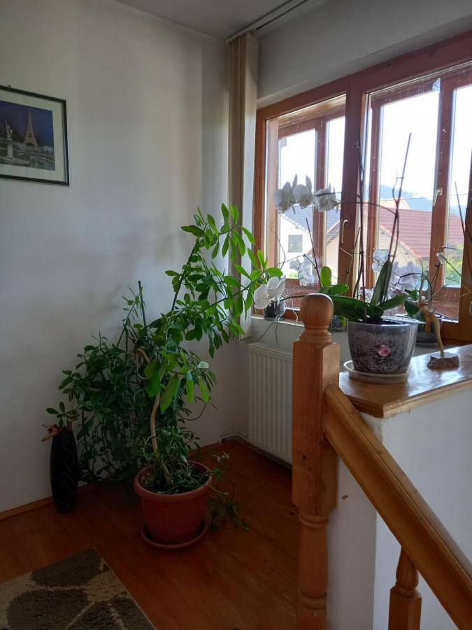 Stefana Apartment Risnov Exterior photo